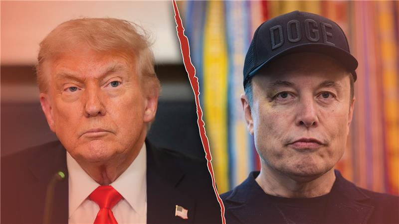 Elon, We Hardly Knew Ya