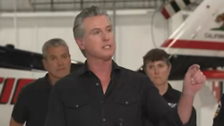 Newsom: Trump Will Steal Election!