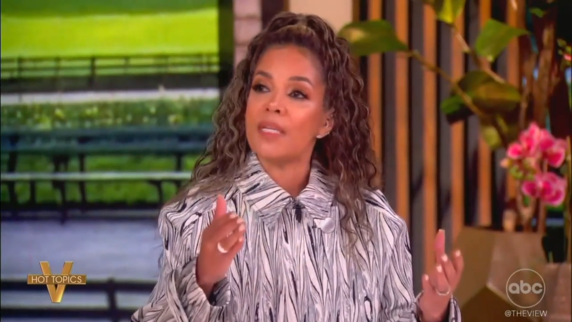 ABCs Sunny Hostin Triggered by Stars & Stripes